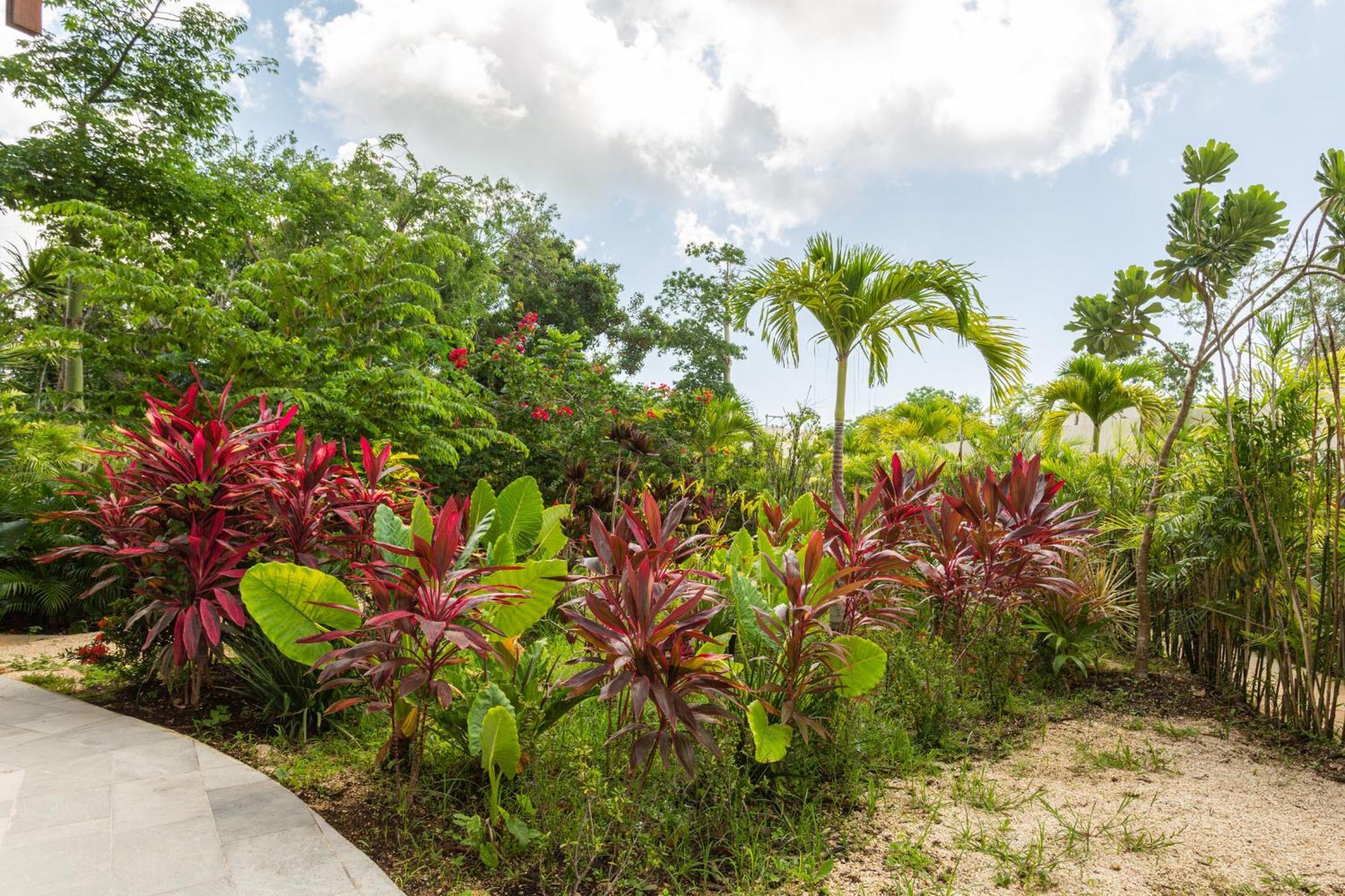 Mistiq Gardens Apartment Tulum Room photo
