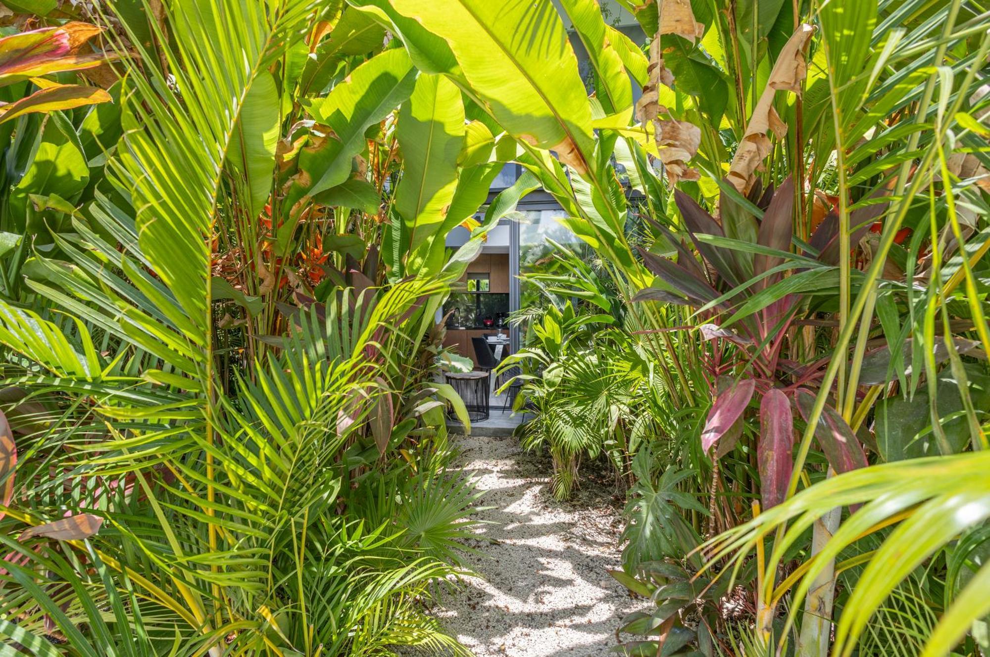 Mistiq Gardens Apartment Tulum Room photo